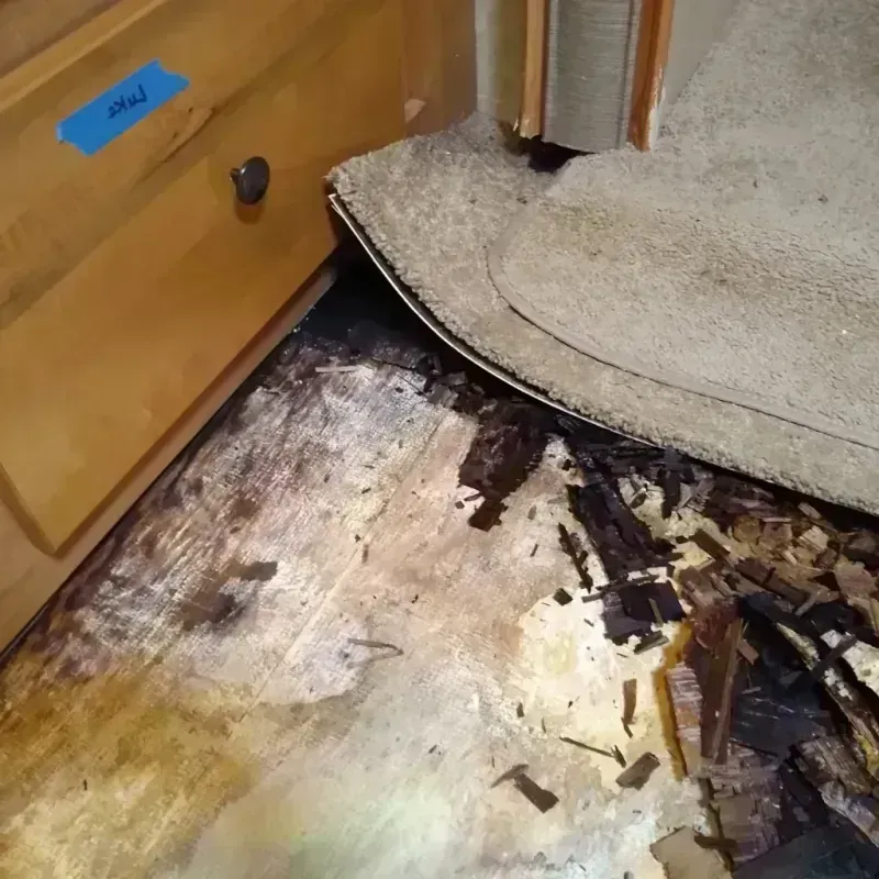 Wood Floor Water Damage in Phoenix Lake, CA